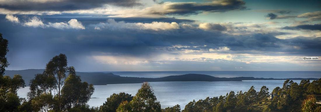 Peppermint Ridge Retreat Otel Woodbridge Dış mekan fotoğraf